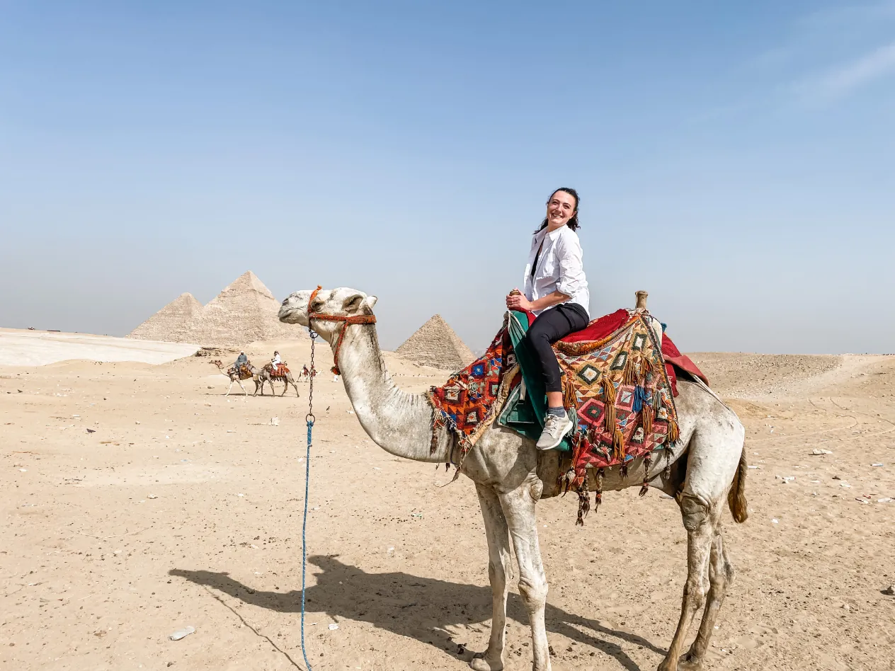 A woman riding a decorated camel in the desert, with the Pyramids of Giza behind her